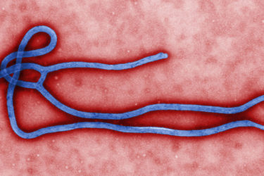 Ebola Lawsuit Texas