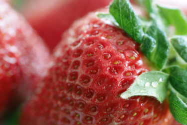 Frozen Strawberries Recalled Due to Hepatitis A