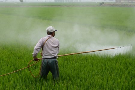 FDA Suspends Roundup Tests