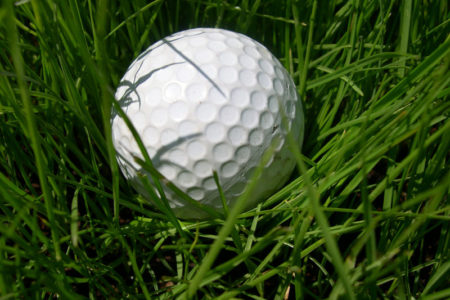 Picture of Golf Ball in Grass