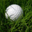 Picture of Golf Ball in Grass