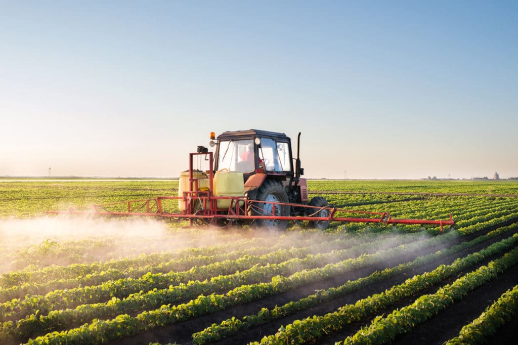 Roundup Sprayed on Soybean Crops