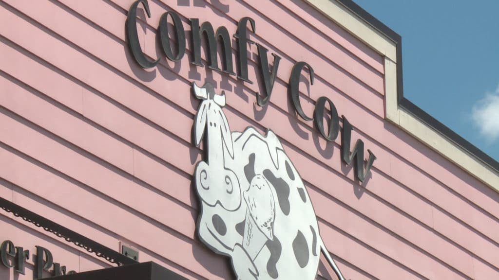 Comfy Cow