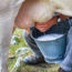 Pride & Joy Dairy Refuses to Recall Raw Milk