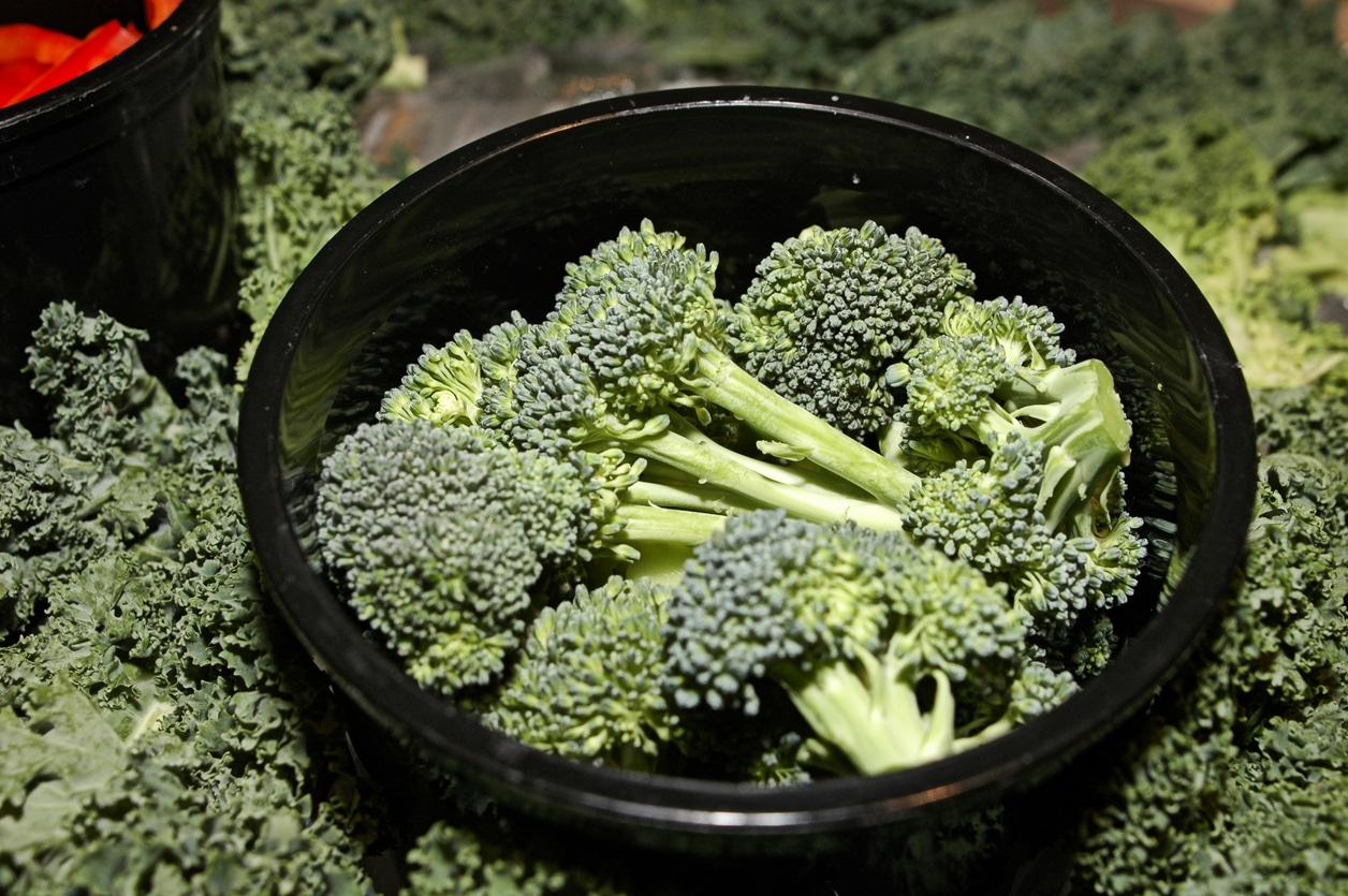 Mary's Harvest Recalls Kale & Broccoli Slaw for Listeria Risk Daily