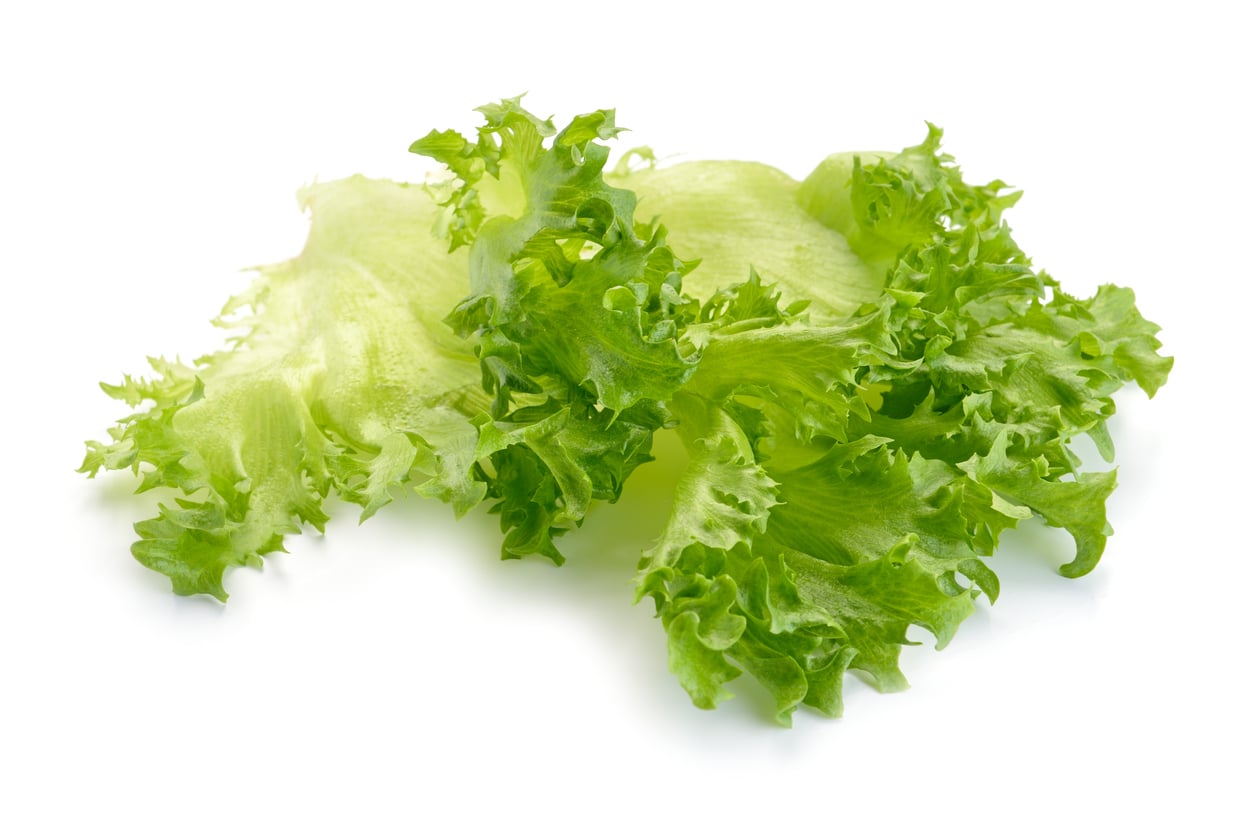 CDC Deadly Lettuce E. Coli Outbreak is Likely Over Daily