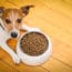 JustFoodForDogs Recalls Dog Food for Listeria Risk