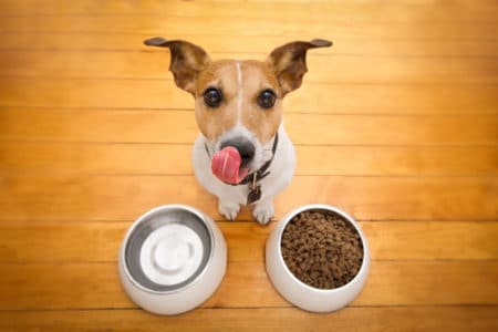 Two Pet Food Companies Recall Dog Treats