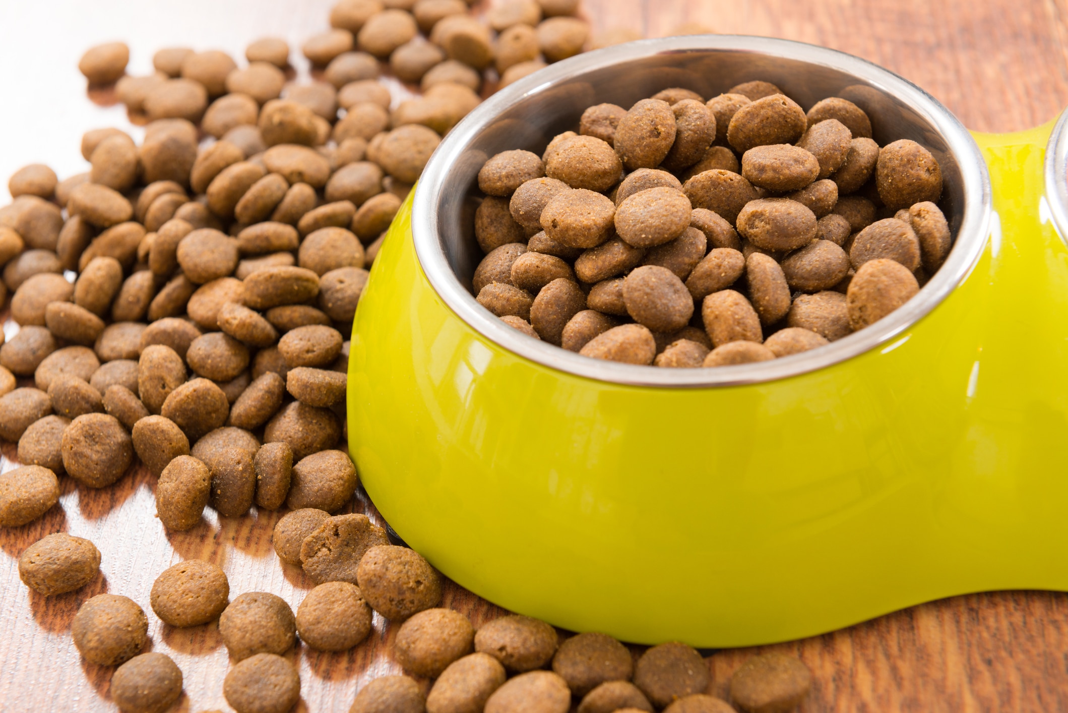 dog-food-recalled-for-dangerous-levels-of-vitamin-d