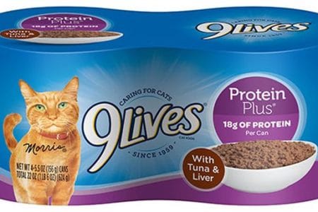 9Lives Cat Food Recalled for Risk of Thiamine Vitamin Deficiency