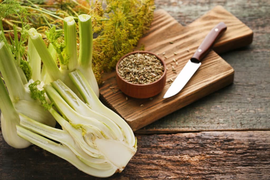 Mountain Rose Herbs Recalls Fennel Seeds for Salmonella Risk
