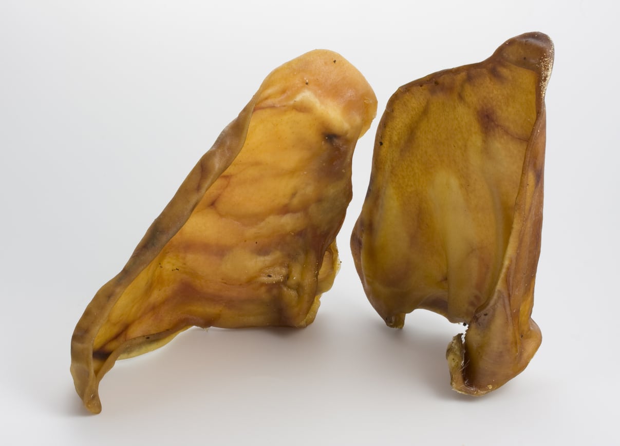 Pig Ear Dog Treats Recalled After Salmonella Outbreak