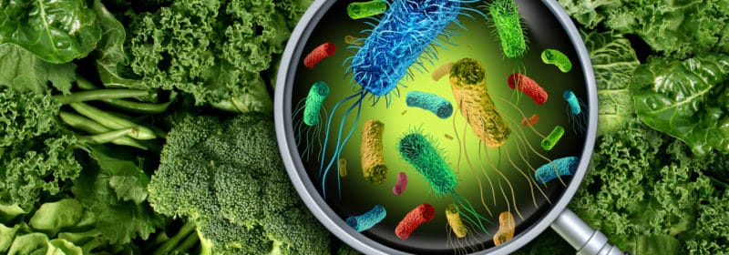19 Sick in E. coli Outbreak Linked to Philadelphia Restaurants