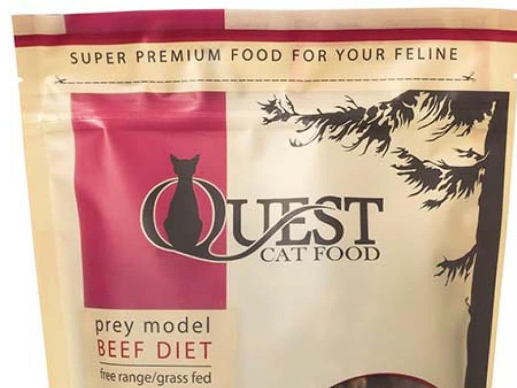 Quest Beef Cat Food Recalled Due to Salmonella Risk