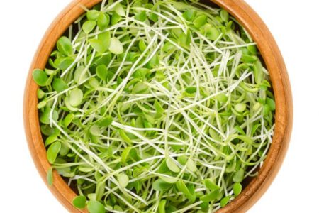 Another 25 E. coli Illnesses Linked to Raw Sprouts