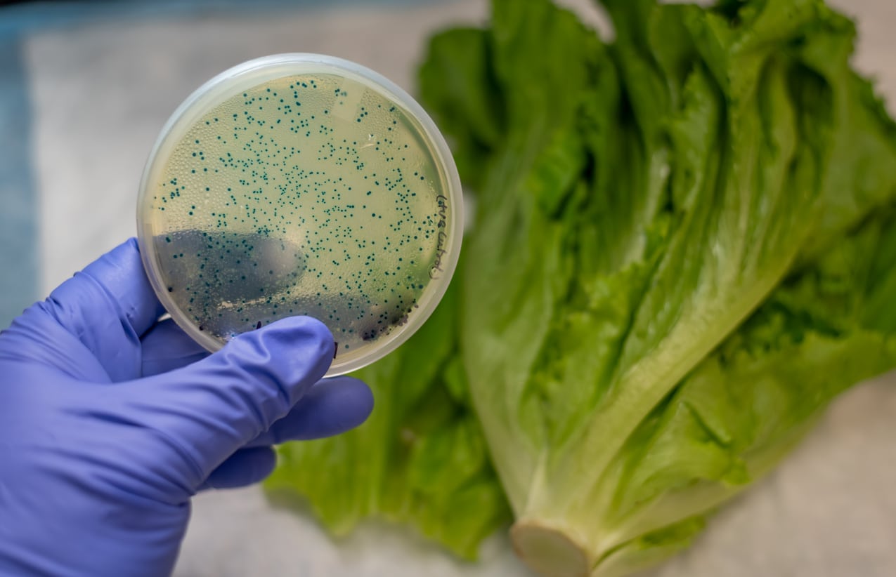 Mysterious E. coli Outbreaks May Be Linked to Romaine Lettuce