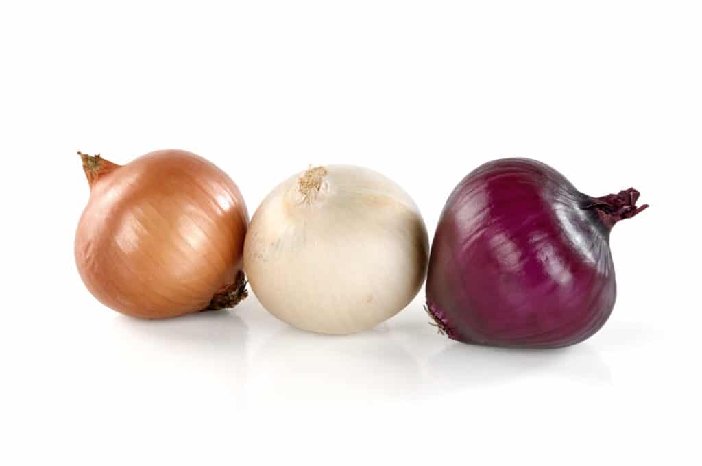Throw Away Unlabeled Onions Due to Salmonella, CDC Warns