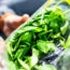 E. coli Outbreak in 6 States Linked to Organic Power Greens Salads