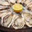 Texas Oysters Recalled After Virus Outbreak Sickens 211 People