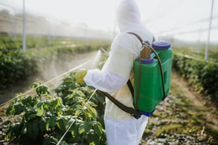 EPA Bans Dacthal (DCPA) Weed-Killer Linked to Pregnancy Risks