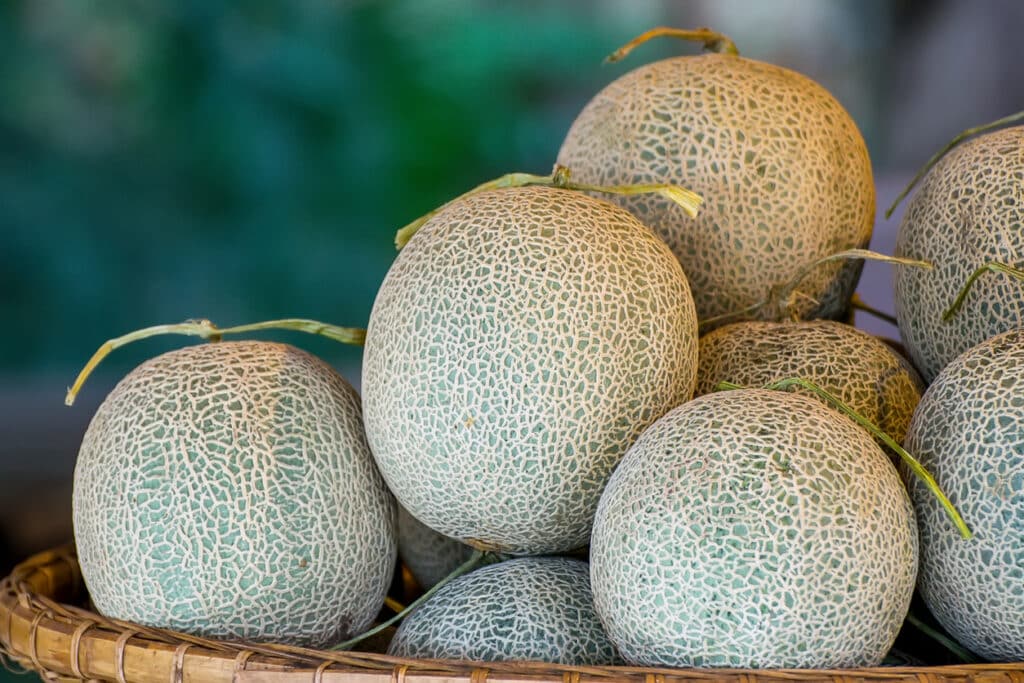 Cantaloupe Recalled in 5 States for Salmonella Risk