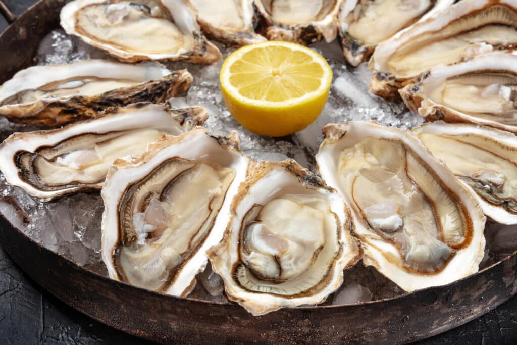 Louisiana Shuts Down Oyster Harvesting Area After Virus Outbreak