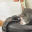 Crock-Pot Pressure Cooker Lawsuit Filed by Burned Woman