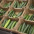 Fuentes Farms Recalls Cucumbers in Texas for Salmonella Risk