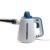 HSN Recalls CasaClean Handheld Steamers After 11 People Burned