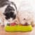 Viva Raw Dog & Cat Foods Recalled for Pet and Human Illness Risks
