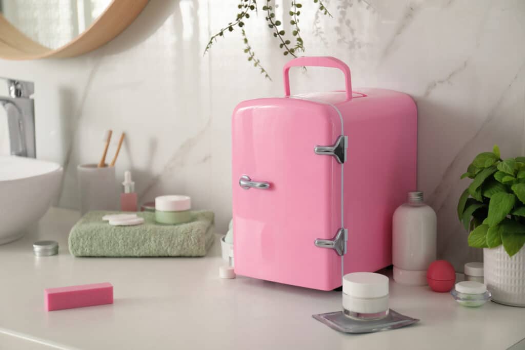 Paris Hilton Mini Beauty Fridges Recalled for Fire & Burn Hazards