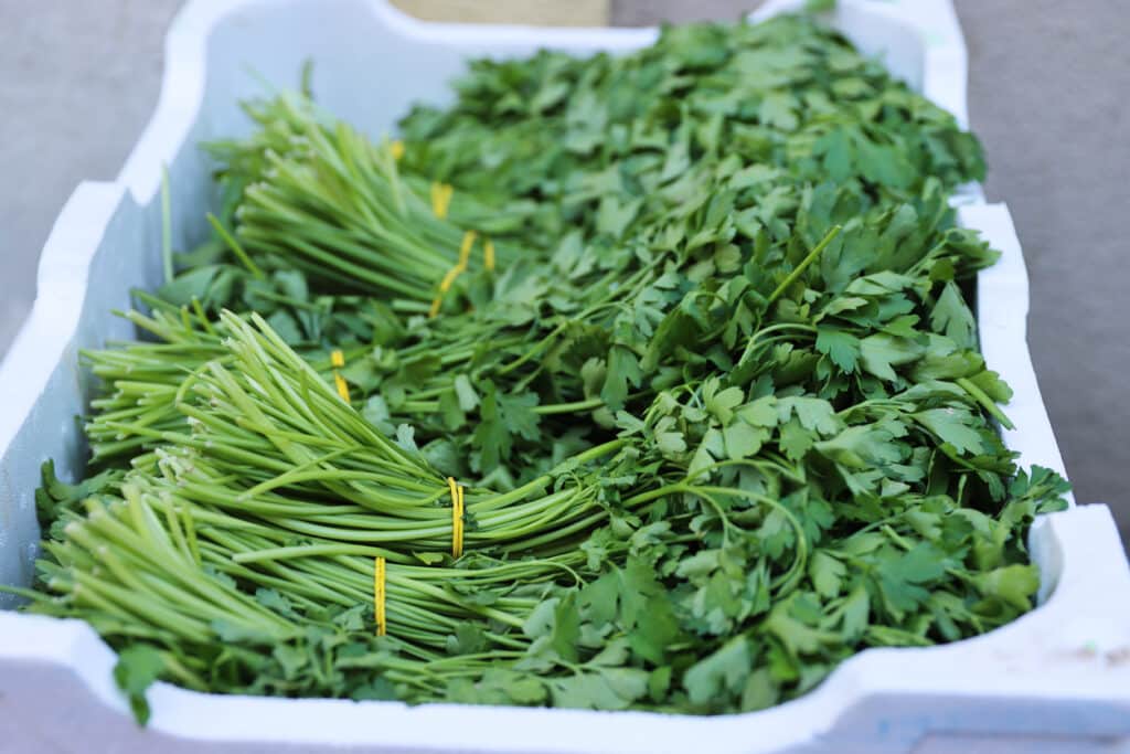 Italian Parsley Recalled in 8 States for Salmonella Risk