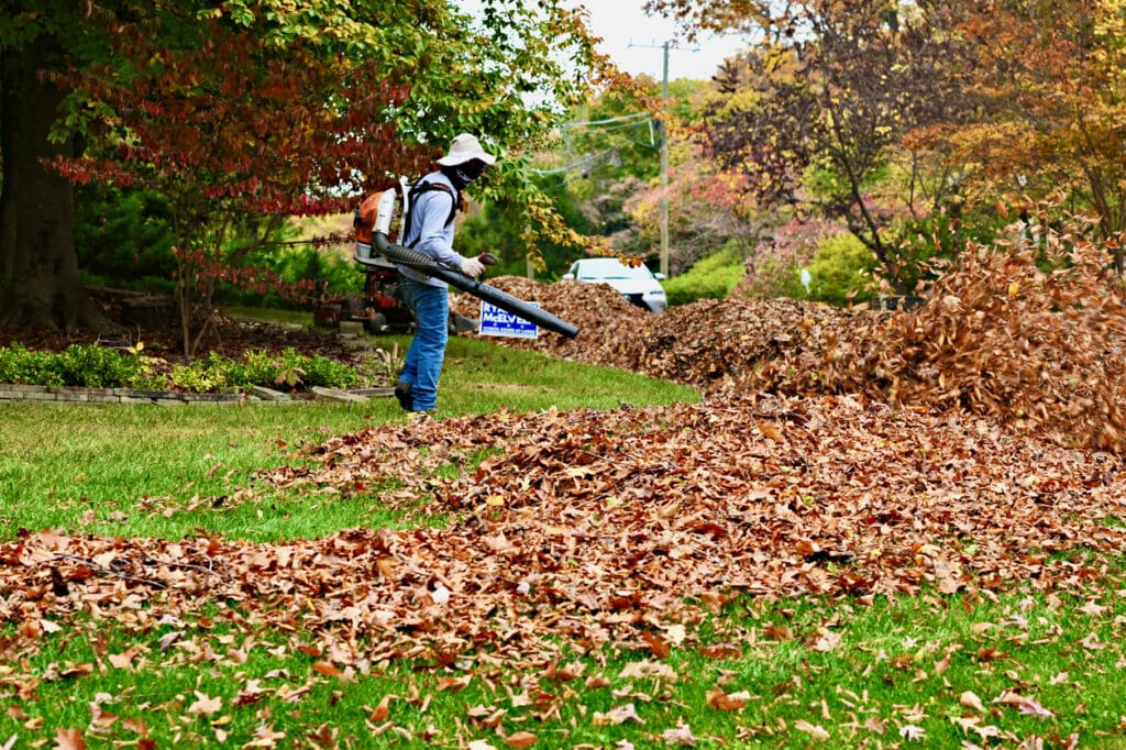 STIHL Recalls Nearly 50,000 Backpack Leaf Blowers for Injury Risk