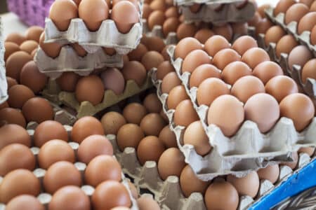 Vega Farms Brown Eggs Linked to 63 Cases of Salmonella
