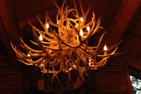 RH Recalls Elk Antler Chandeliers For Injury Hazard
