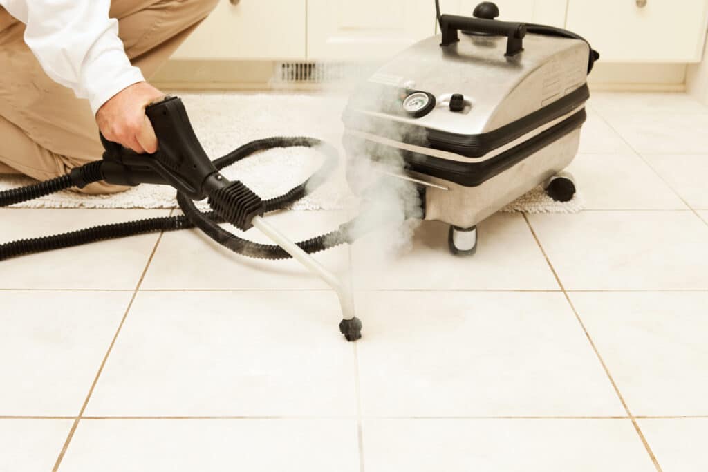 Dupray Recalls 650,000 Steam Cleaners for Burn Hazards
