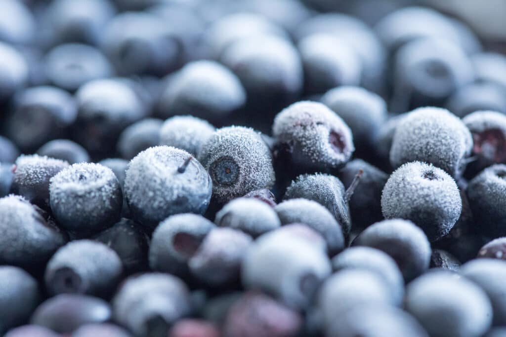 Frozen GreenWise Blueberries Recalled in E. Coli Outbreak