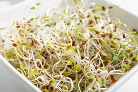 Alfalfa Sprouts Recalled After E. Coli, Salmonella Outbreak Sickens 55 People