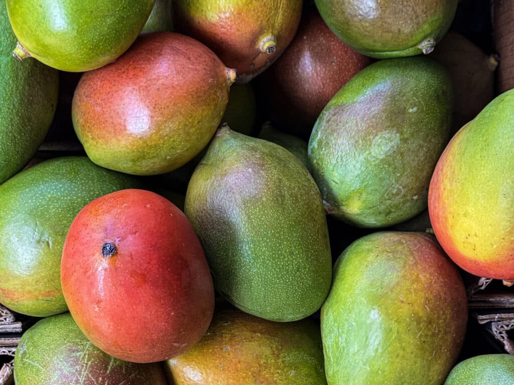 Mangoes Recalled at Walmart for Salmonella Risk