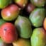 Mangoes Recalled at Walmart for Salmonella Risk