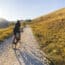 Van Rysel Bikes Recalled for Risk of Front Wheel Detaching