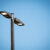 Lithonia Recalls 11,532 Outdoor Lights for Injury Risk