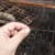 Walmart Recalls 4.4M Grill Brushes for Metal Wire Injury Risks